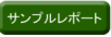 samplereport