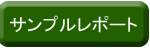 samplereport